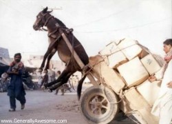 Don't let your mind overload your body...immobility results.